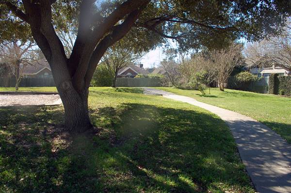 Swan Lagoon Park (12/15/2016)