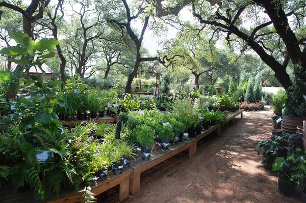 Hill Country Water Gardens & Nursery (8/11/2017)