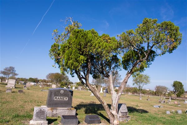 Manor City Cemetery (12/19/2017)