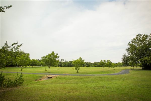 Pete's Path (3/16/2018)