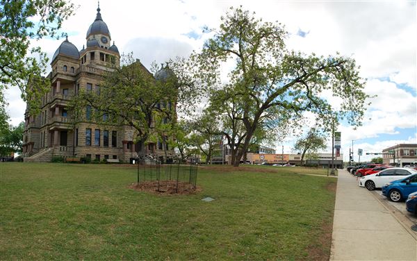 Denton County Courthouse & Museum (4/22/2018)