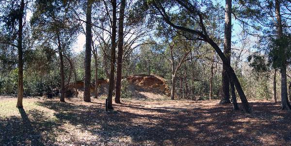 Buescher State Park (2/26/2008)