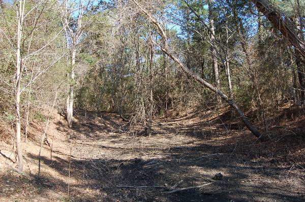 Buescher State Park (2/26/2008)