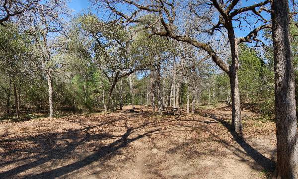 Buescher State Park (2/26/2008)