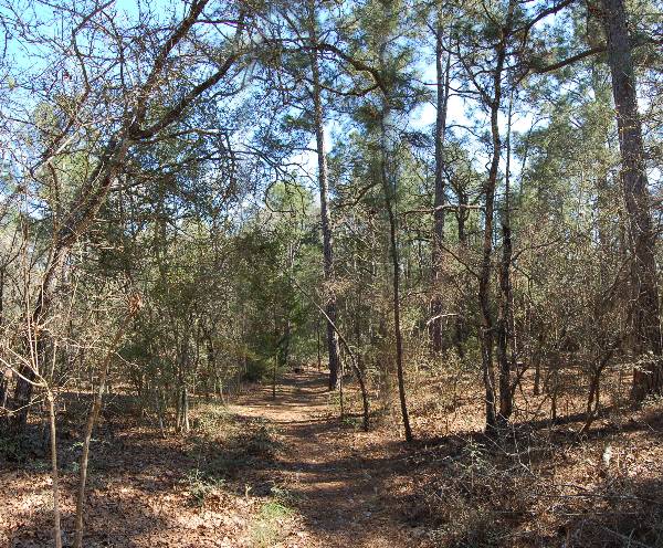 Buescher State Park (2/26/2008)