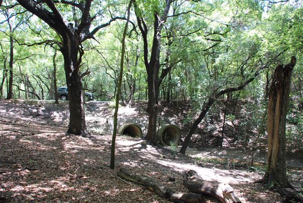 Judson Nature Trails (7/5/2018)