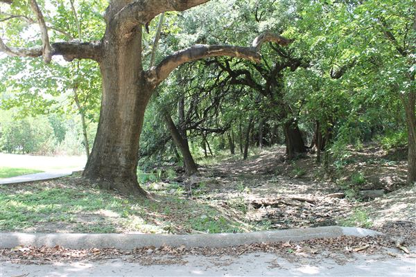 Pecan Creek Trail (8/31/2018)