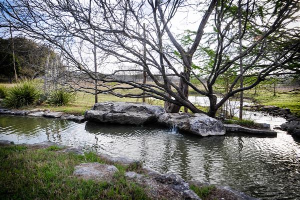 Montesino Ranch (3/5/2017)