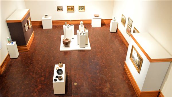 San Angelo Museum of Fine Arts (4/22/2018 - Credits: Diann Bayes)