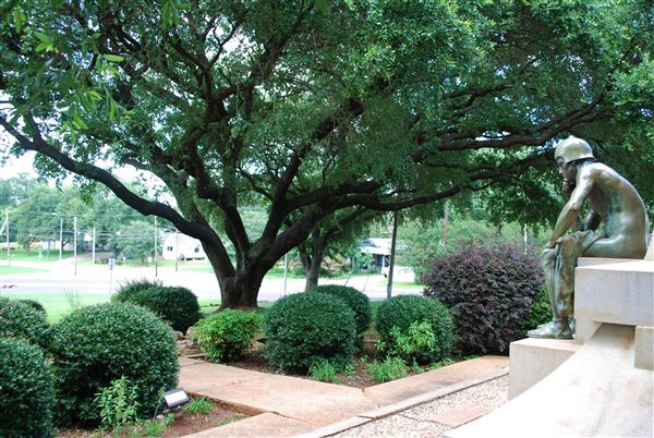 Reagan Park (7/6/2019)