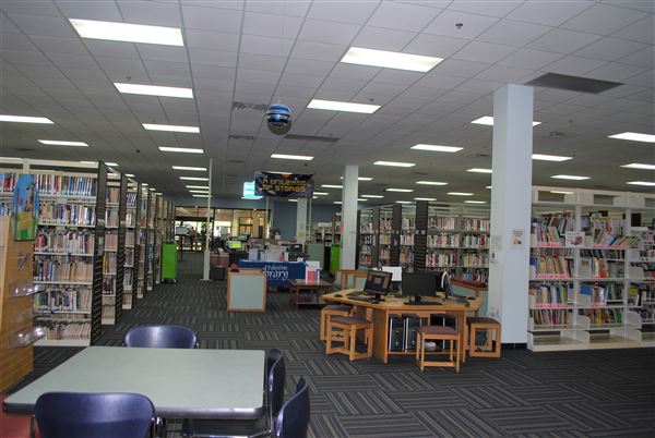 Palestine Public Library (7/10/2019)