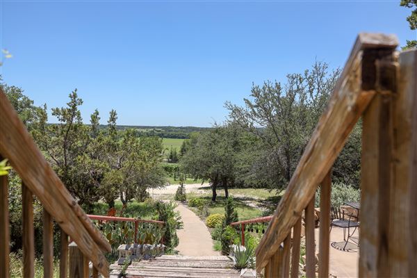 Bluff Dale Vineyards (7/17/2019 - Credits: Stephenville Tourism & Visitors Bureau)