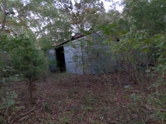 Historic Grove House (11/9/2019 - Credits: Lisa Jackson)