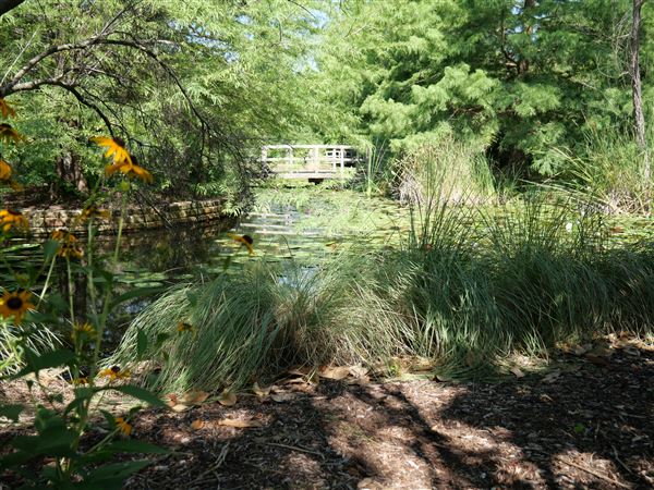 Clark Gardens Botanical Park (7/16/2019)
