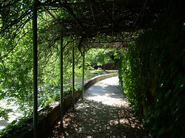 Clark Gardens Botanical Park (7/16/2019)