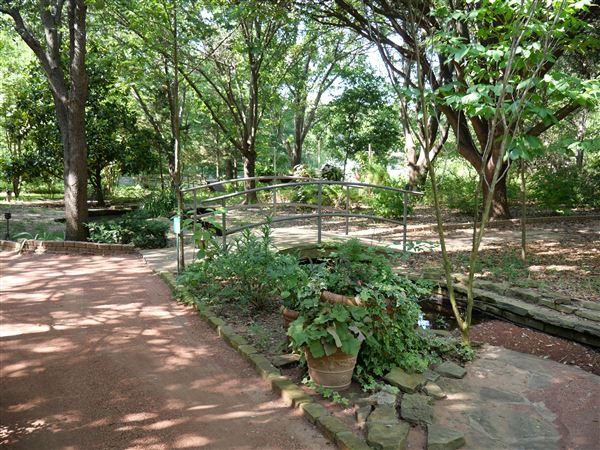 Clark Gardens Botanical Park (7/16/2019)