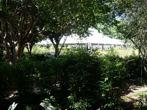 Clark Gardens Botanical Park (7/16/2019)