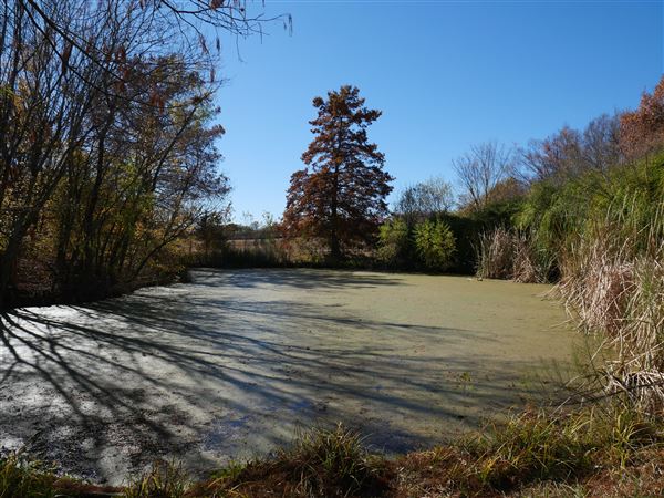 Beverly S. Sheffield Northwest District Park (12/9/2020)