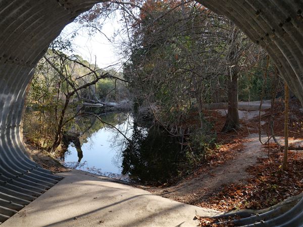 Walnut Creek Metropolitan Park (12/15/2020)