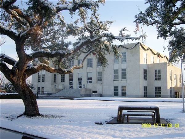 Chambers County Court House (1/27/2021)