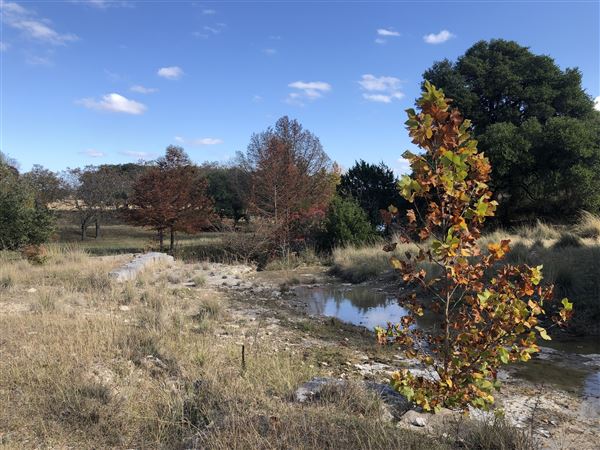 Hidden Springs Ranch (11/1/2020 - Credits: Bill Lanier)