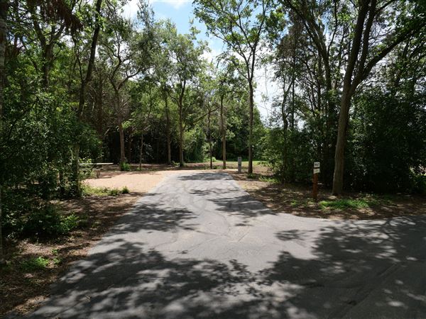 Lake Bastrop - North Shore Park (8/3/2021)