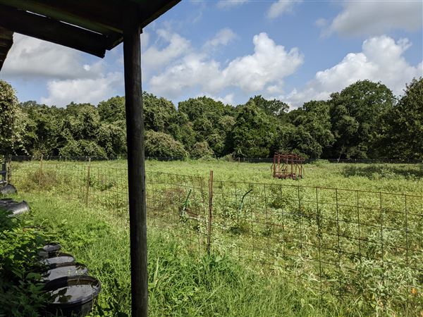 Rural Farm - Two House Property (8/12/2021 - Credits: Daniel Williams)