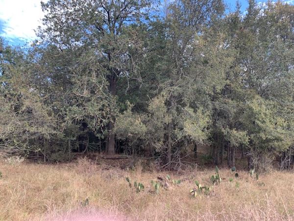 Rose Ranch (9/27/2021 - Credits: Roy Rose on my I-Phone)