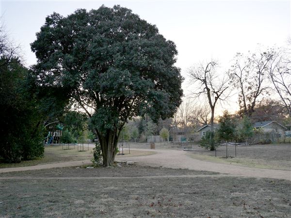 North Oaks Neighborhood Park (12/10/2020 - Credits: Kim LeBlanc)