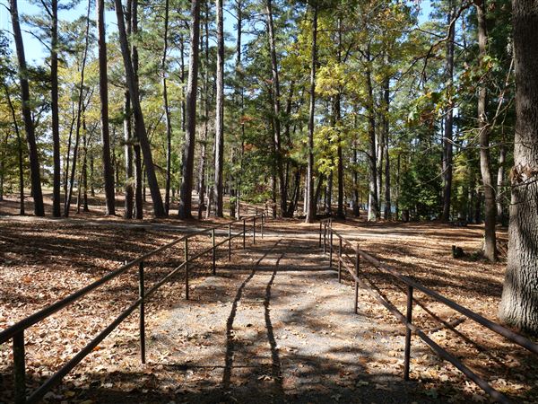 Synergy Park (11/12/2021)