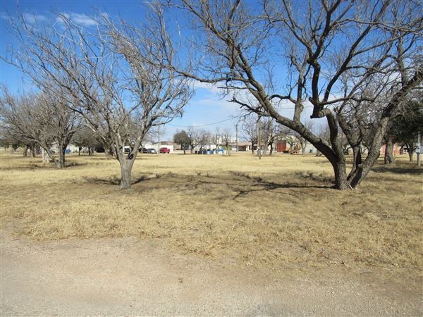 Miles Preservation Authority Park (1/18/2022 - Credits: Jane Jeschke)