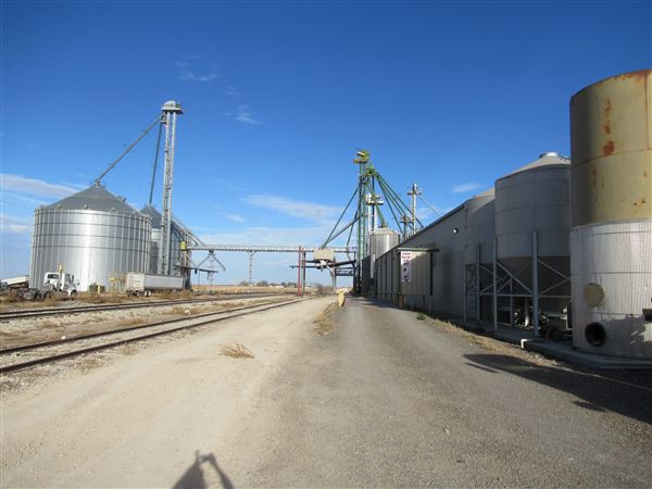 Top Tier Grain & Feed (1/21/2022 - Credits: Jane Jeschke)