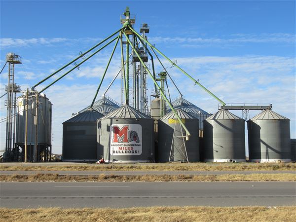Top Tier Grain & Feed (1/21/2022 - Credits: Jane Jeschke)