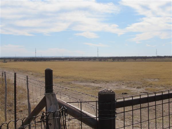 Miles Cemetery (1/19/2022 - Credits: Jane Jeschke)