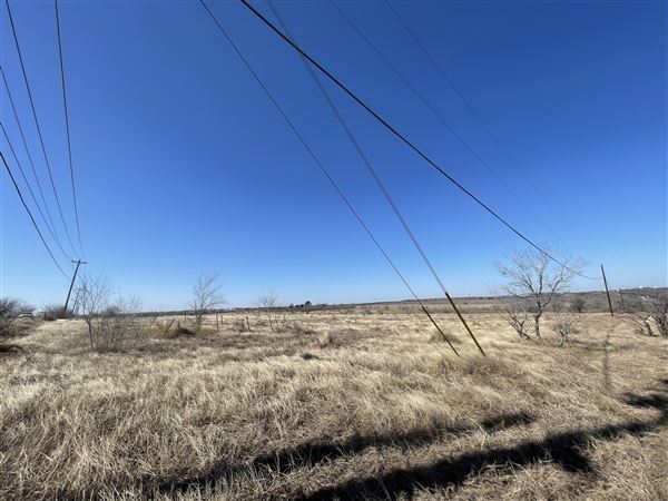Studio Estates Acres (2/7/2022 - Credits: josephine safford)