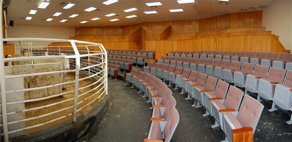 Navasota Livestock Auction (9/15/2009)