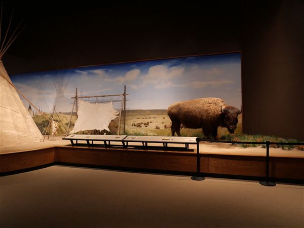 Mayborn Museum Complex (7/23/2022 - Credits: Matt Miller)