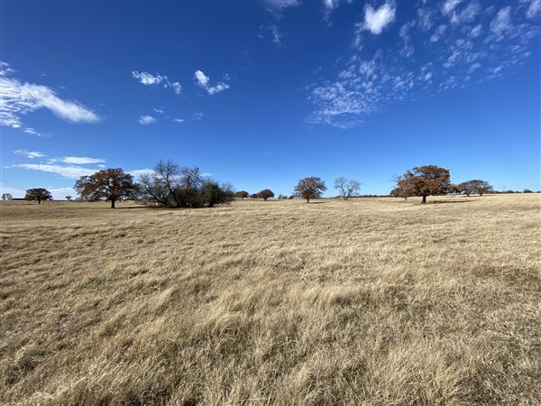 Fairlea Longhorn Ranch (12/7/2022)