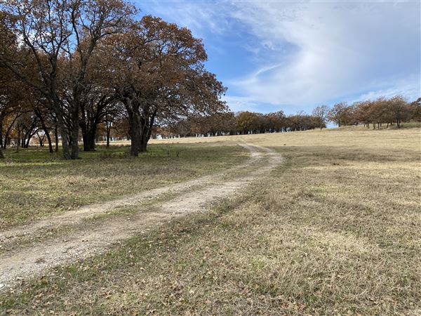 Fairlea Longhorn Ranch (12/7/2022)