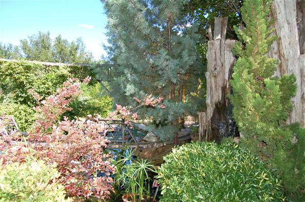 Clark Gardens Botanical Park (5/30/2009)