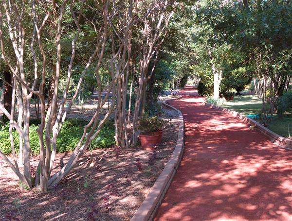 Clark Gardens Botanical Park (5/30/2009)