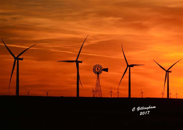 Borger Wind Farms (4/30/2018 - Credits: Charles Gillingham)
