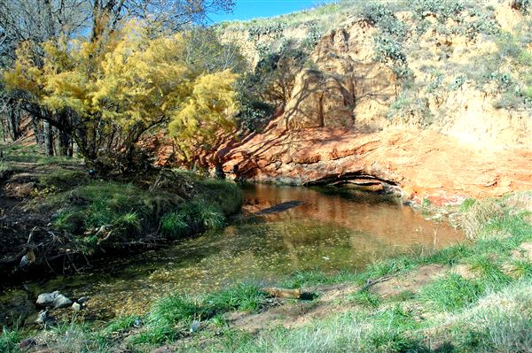 Borger Nature Trail (4/30/2017 - Credits: Charles Gillingham)