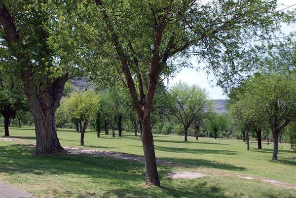 Big Bend National Park - Rio Grande Village (6/12/2010)
