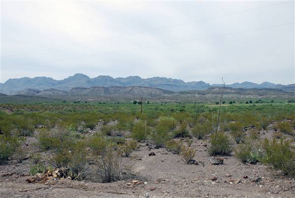River Road - FM 170 (6/10/2010)