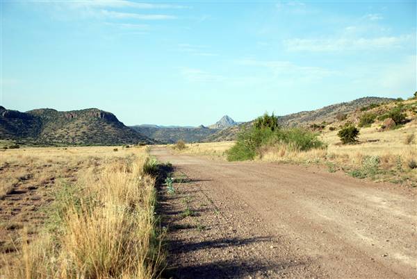 CF Ranch (6/10/2010)