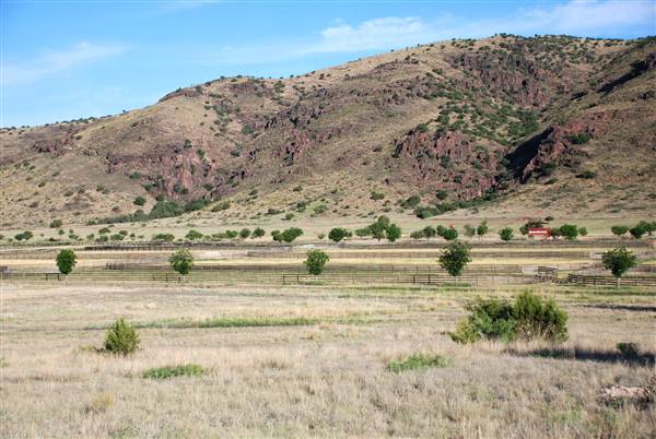 CF Ranch (6/10/2010)