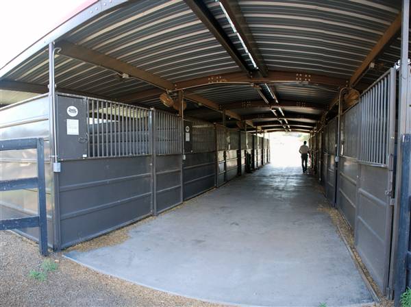 CF Ranch (6/10/2010)