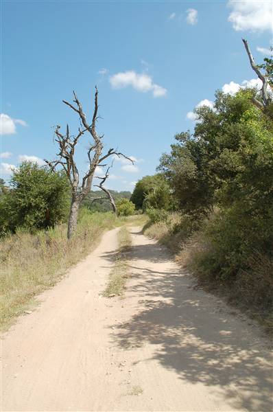 Milton Reimers Ranch County Park (8/25/2010)