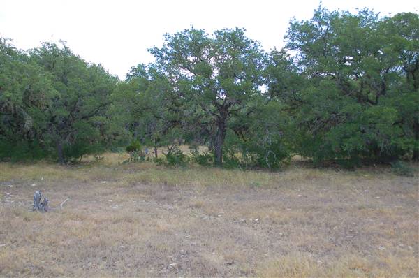 Milton Reimers Ranch County Park (8/25/2010)